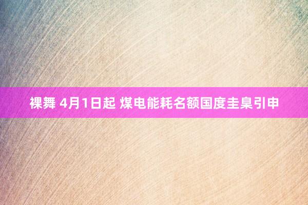裸舞 4月1日起 煤电能耗名额国度圭臬引申