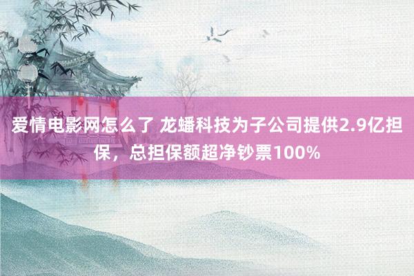 爱情电影网怎么了 龙蟠科技为子公司提供2.9亿担保，总担保额超净钞票100%