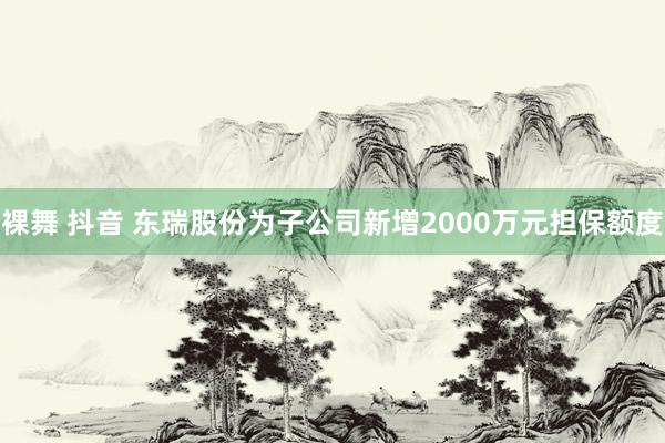 裸舞 抖音 东瑞股份为子公司新增2000万元担保额度