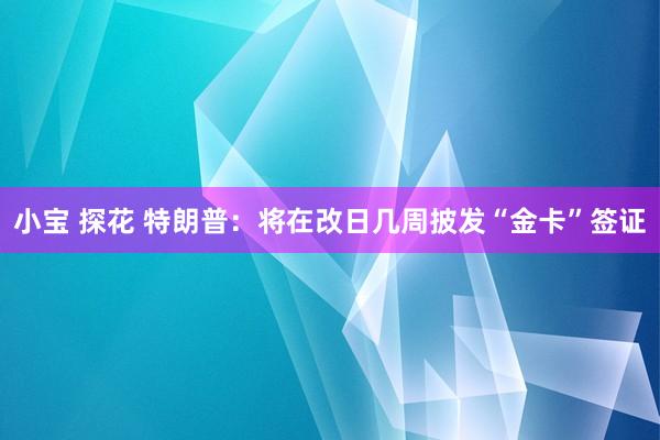小宝 探花 特朗普：将在改日几周披发“金卡”签证