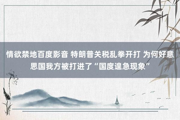 情欲禁地百度影音 特朗普关税乱拳开打 为何好意思国我方被打进了“国度遑急现象”