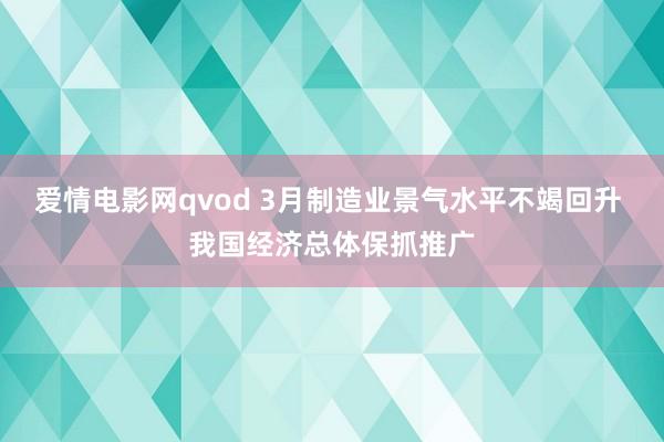 爱情电影网qvod 3月制造业景气水平不竭回升 我国经济总体保抓推广