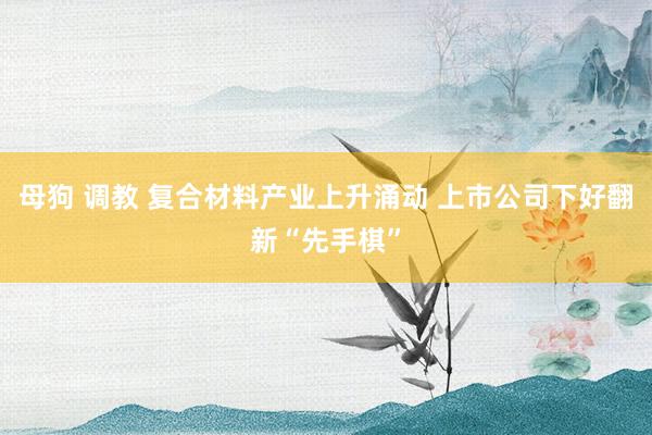 母狗 调教 复合材料产业上升涌动 上市公司下好翻新“先手棋”