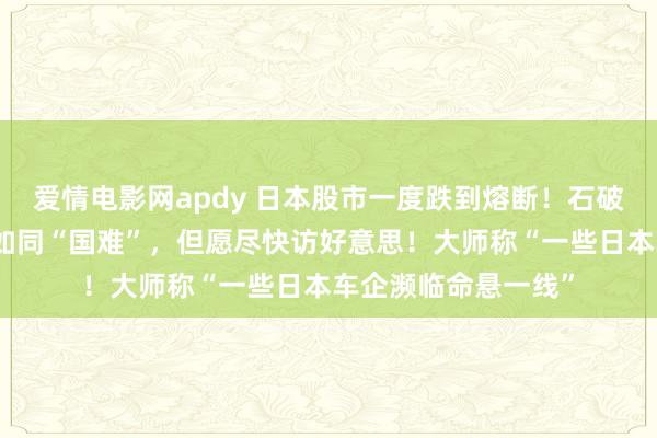 爱情电影网apdy 日本股市一度跌到熔断！石破茂：好意思国加税如同“国难”，但愿尽快访好意思！大师称“一些日本车企濒临命悬一线”