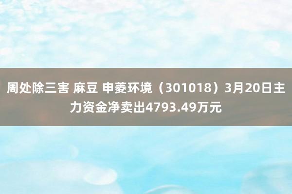 周处除三害 麻豆 申菱环境（301018）3月20日主力资金净卖出4793.49万元