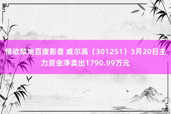 情欲禁地百度影音 威尔高（301251）3月20日主力资金净卖出1790.99万元