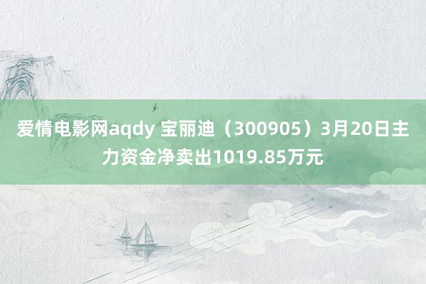 爱情电影网aqdy 宝丽迪（300905）3月20日主力资金净卖出1019.85万元