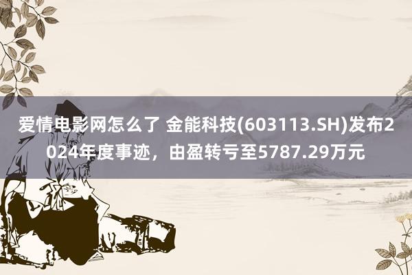 爱情电影网怎么了 金能科技(603113.SH)发布2024年度事迹，由盈转亏至5787.29万元