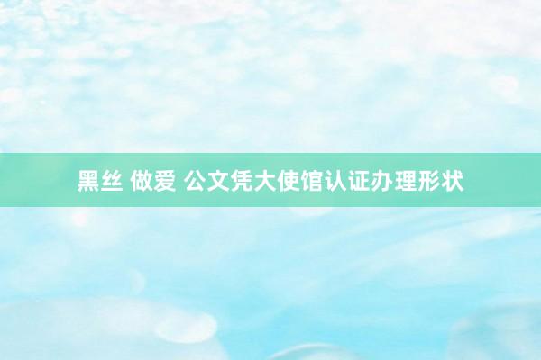 黑丝 做爱 公文凭大使馆认证办理形状