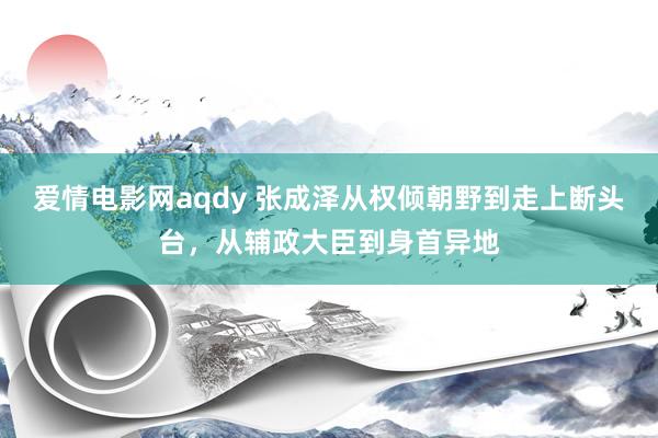 爱情电影网aqdy 张成泽从权倾朝野到走上断头台，从辅政大臣到身首异地