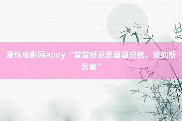 爱情电影网apdy “堂堂好意思国副总统，竟如斯厉害”
