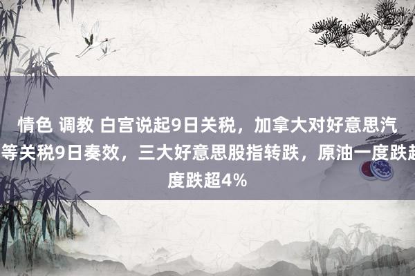 情色 调教 白宫说起9日关税，加拿大对好意思汽车平等关税9日奏效，三大好意思股指转跌，原油一度跌超4%