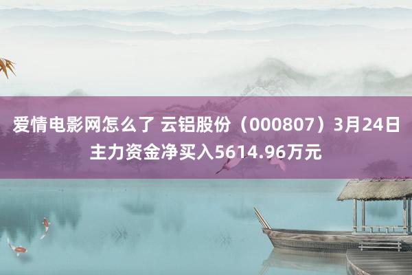 爱情电影网怎么了 云铝股份（000807）3月24日主力资金净买入5614.96万元
