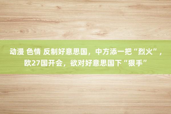 动漫 色情 反制好意思国，中方添一把“烈火”，欧27国开会，欲对好意思国下“狠手”