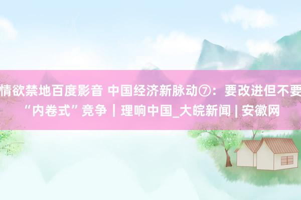 情欲禁地百度影音 中国经济新脉动⑦：要改进但不要“内卷式”竞争｜理响中国_大皖新闻 | 安徽网