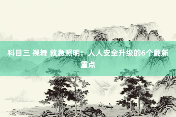 科目三 裸舞 救急照明：人人安全升级的6个翻新重点
