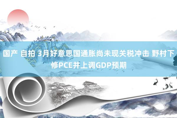 国产 自拍 3月好意思国通胀尚未现关税冲击 野村下修PCE并上调GDP预期