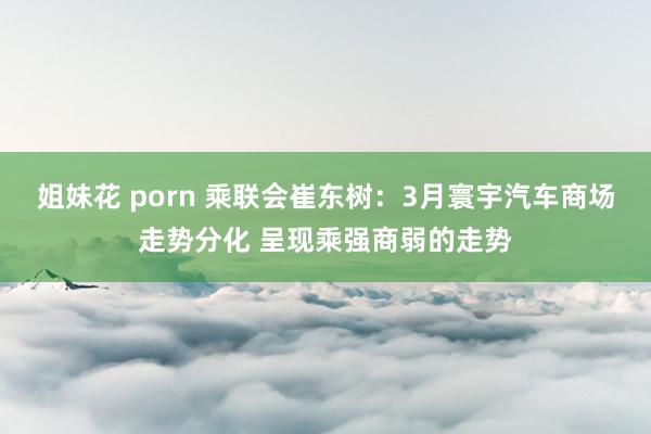 姐妹花 porn 乘联会崔东树：3月寰宇汽车商场走势分化 呈现乘强商弱的走势