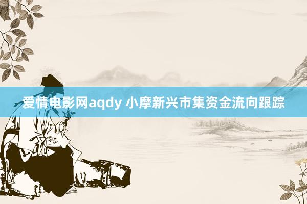 爱情电影网aqdy 小摩新兴市集资金流向跟踪