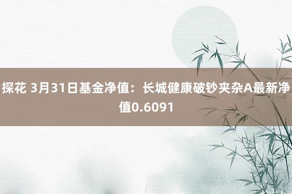 探花 3月31日基金净值：长城健康破钞夹杂A最新净值0.6091