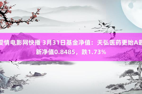 爱情电影网快播 3月31日基金净值：天弘医药更始A最新净值0.8485，跌1.73%