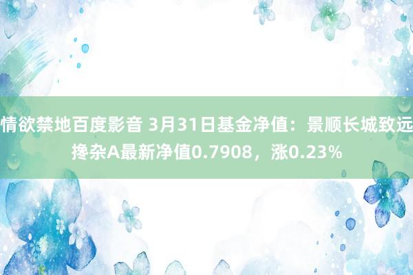 情欲禁地百度影音 3月31日基金净值：景顺长城致远搀杂A最新净值0.7908，涨0.23%