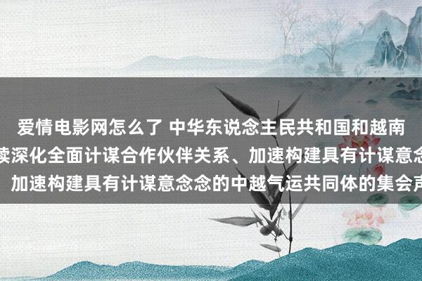 爱情电影网怎么了 中华东说念主民共和国和越南社会想法共和国对于持续深化全面计谋合作伙伴关系、加速构建具有计谋意念念的中越气运共同体的集会声明