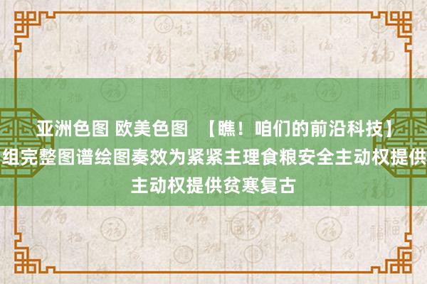 亚洲色图 欧美色图  【瞧！咱们的前沿科技】小麦基因组完整图谱绘图奏效为紧紧主理食粮安全主动权提供贫寒复古