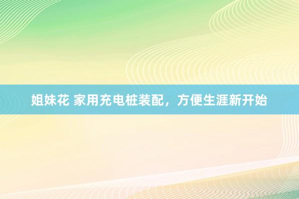 姐妹花 家用充电桩装配，方便生涯新开始