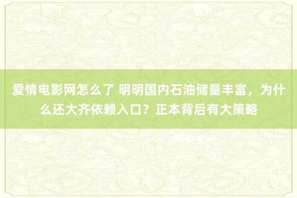 爱情电影网怎么了 明明国内石油储量丰富，为什么还大齐依赖入口？正本背后有大策略
