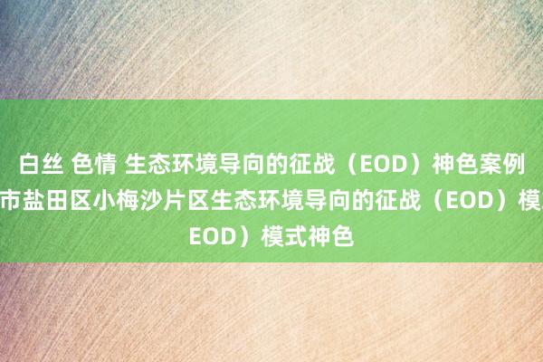 白丝 色情 生态环境导向的征战（EOD）神色案例 | 深圳市盐田区小梅沙片区生态环境导向的征战（EOD）模式神色