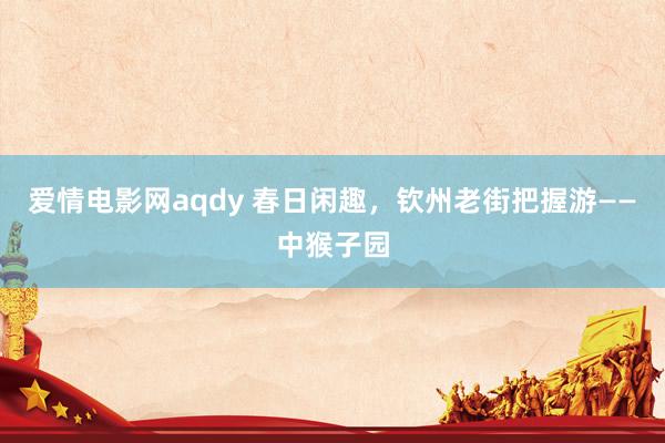 爱情电影网aqdy 春日闲趣，钦州老街把握游——中猴子园
