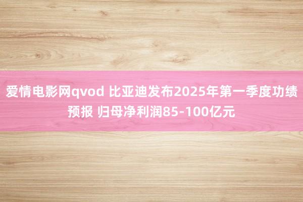 爱情电影网qvod 比亚迪发布2025年第一季度功绩预报 归母净利润85-100亿元