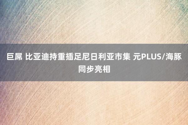 巨屌 比亚迪持重插足尼日利亚市集 元PLUS/海豚同步亮相