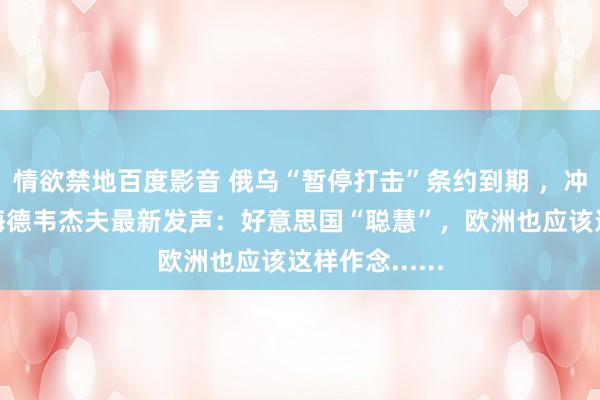 情欲禁地百度影音 俄乌“暂停打击”条约到期 ，冲突要升级？梅德韦杰夫最新发声：好意思国“聪慧”，欧洲也应该这样作念......