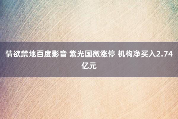 情欲禁地百度影音 紫光国微涨停 机构净买入2.74亿元