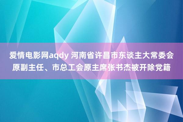 爱情电影网aqdy 河南省许昌市东谈主大常委会原副主任、市总工会原主席张书杰被开除党籍