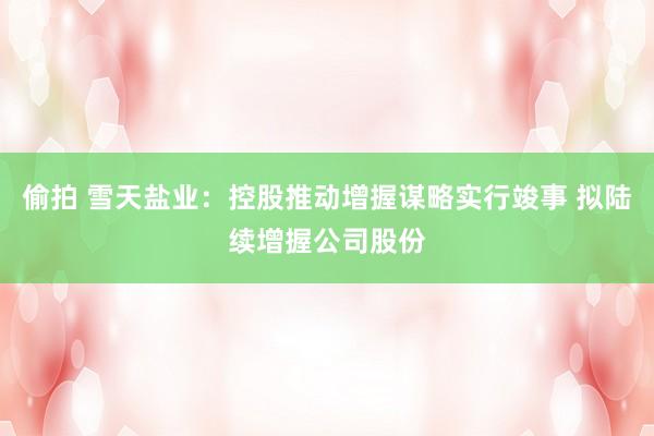 偷拍 雪天盐业：控股推动增握谋略实行竣事 拟陆续增握公司股份