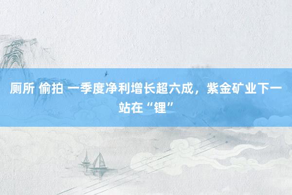 厕所 偷拍 一季度净利增长超六成，紫金矿业下一站在“锂”