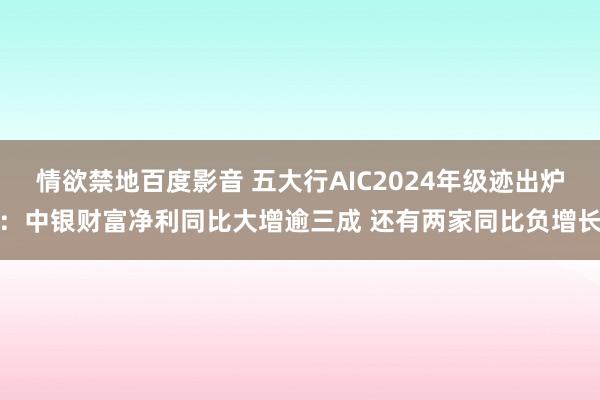 情欲禁地百度影音 五大行AIC2024年级迹出炉：中银财富净利同比大增逾三成 还有两家同比负增长