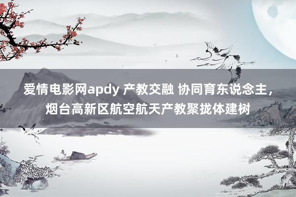 爱情电影网apdy 产教交融 协同育东说念主，烟台高新区航空航天产教聚拢体建树