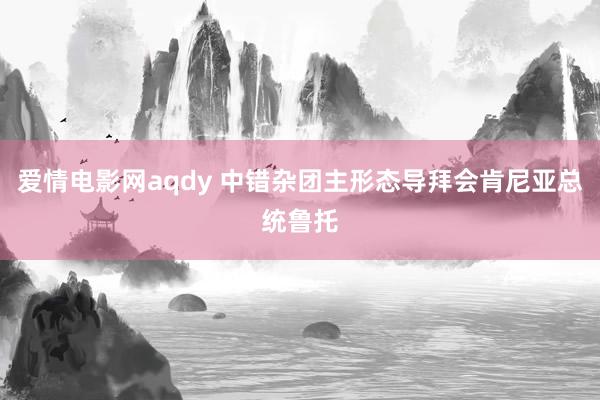 爱情电影网aqdy 中错杂团主形态导拜会肯尼亚总统鲁托