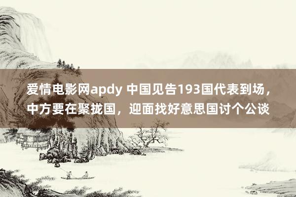 爱情电影网apdy 中国见告193国代表到场，中方要在聚拢国，迎面找好意思国讨个公谈