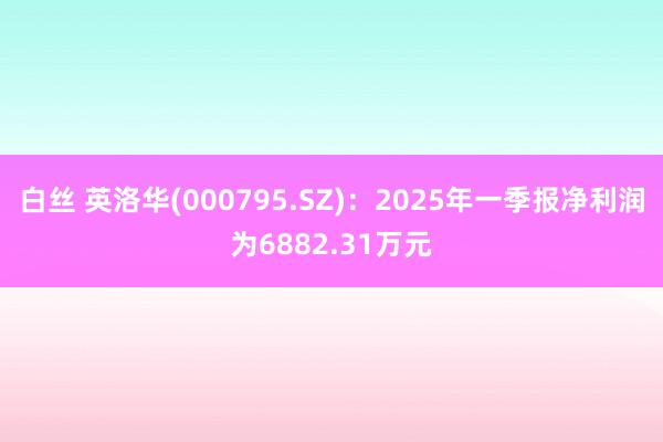 白丝 英洛华(000795.SZ)：2025年一季报净利润为6882.31万元
