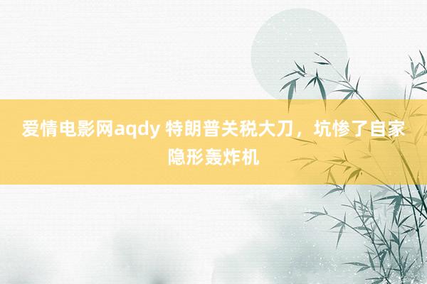 爱情电影网aqdy 特朗普关税大刀，坑惨了自家隐形轰炸机