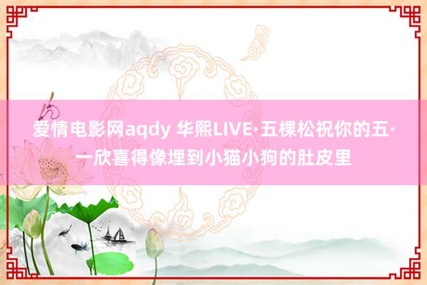 爱情电影网aqdy 华熙LIVE·五棵松祝你的五·一欣喜得像埋到小猫小狗的肚皮里